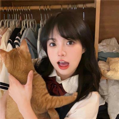 呆子2